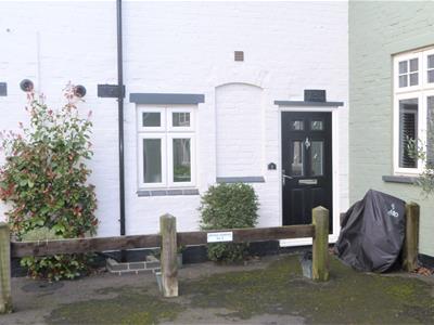Picture 8